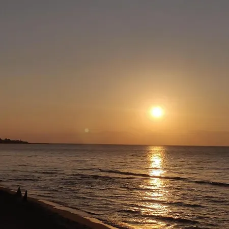 Geco Rosso Lido di Noto
