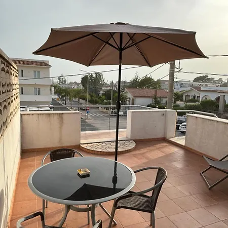 Geco Rosso * Lido di Noto