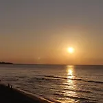 Geco Rosso Lido di Noto