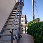 Geco Rosso * Lido di Noto